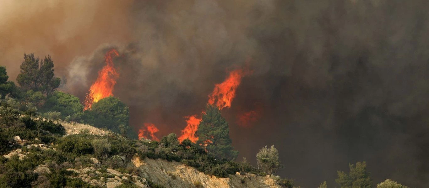 Φωτιά ξέσπασε στον Μαραθώνα - Κινητοποιήθηκαν επίγεια και εναέρια μέσα